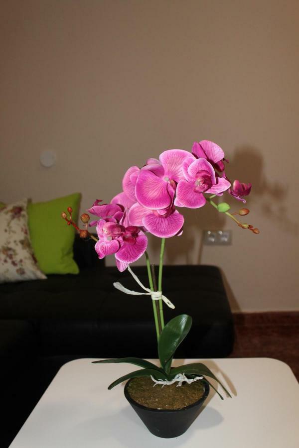 Beautiful Apartment Hercules Costa Del Silencio Dış mekan fotoğraf